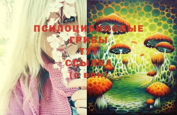 соль курить ск Лиски